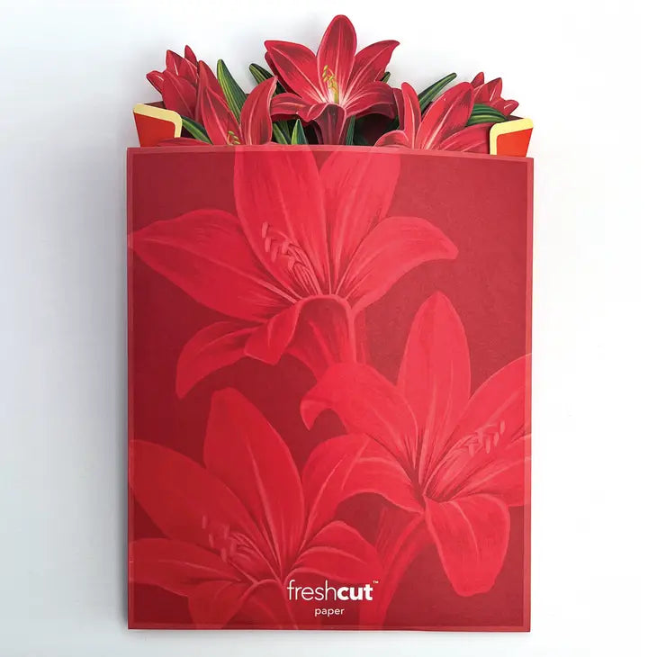 Pop-up Large Greeting Cards - Red Amaryllis