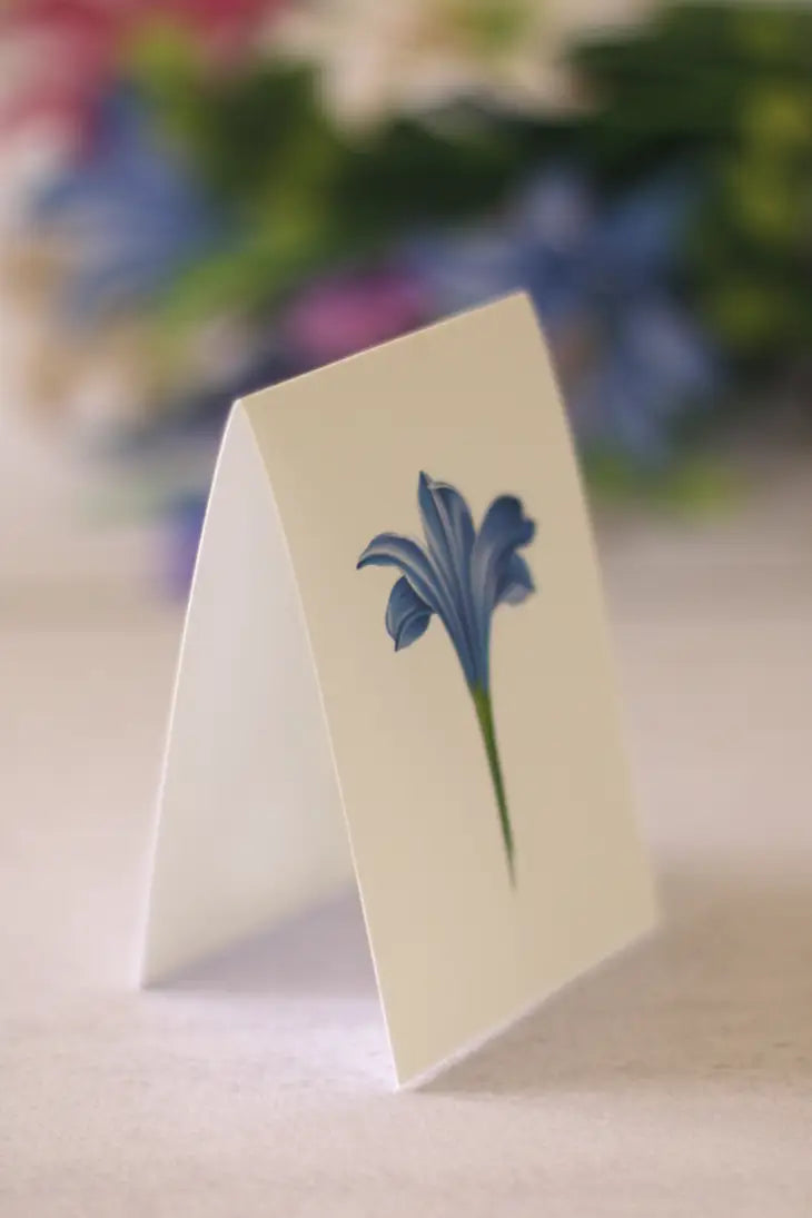 Pop-up Large Greeting Cards - Lilies & Lupines