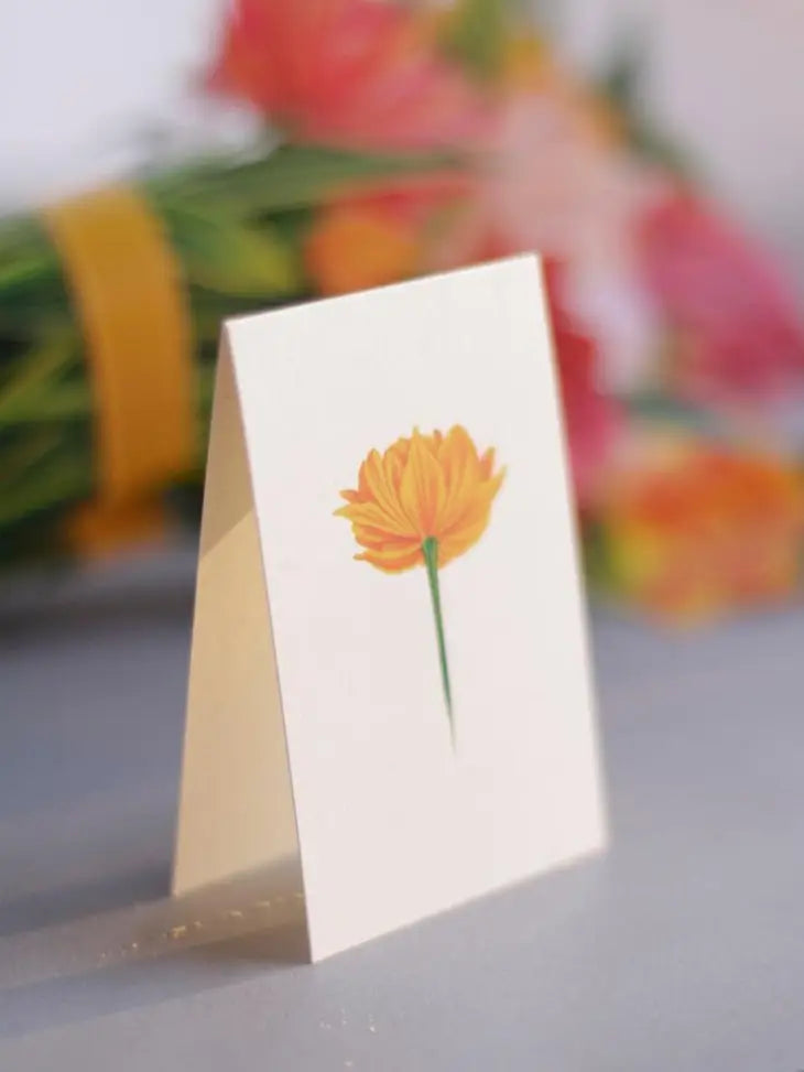 Pop-up Large Greeting Cards - Murillo Tulips