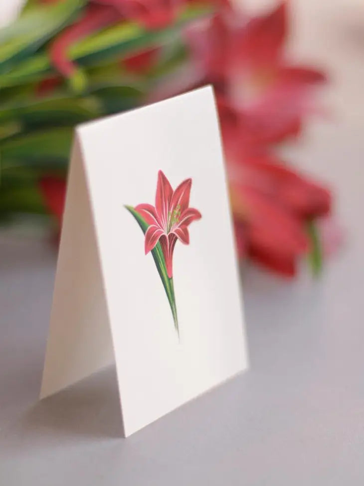 Pop-up Large Greeting Cards - Red Amaryllis