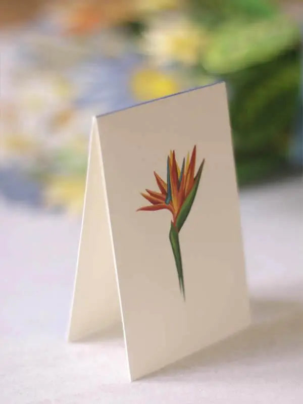 Pop-up Large Greeting Cards - Tropical Bloom