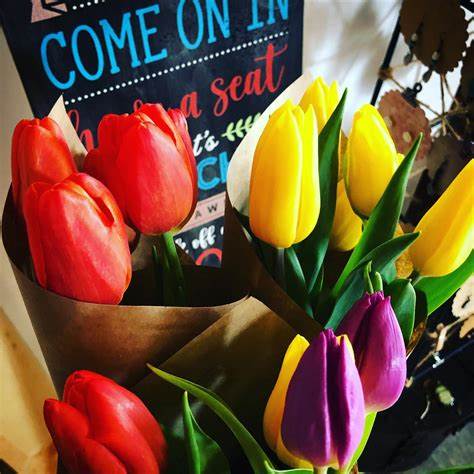 Pop-up Large Greeting Cards - Festive Tulips